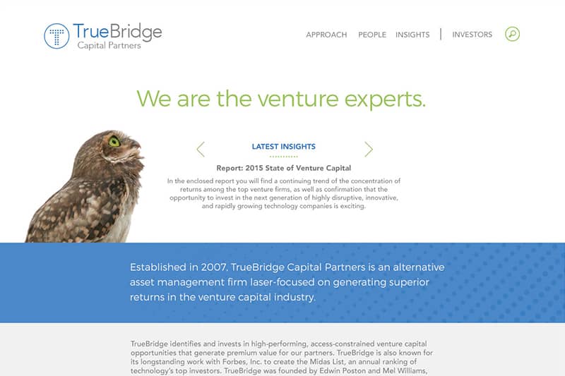 Truebridge Homepage